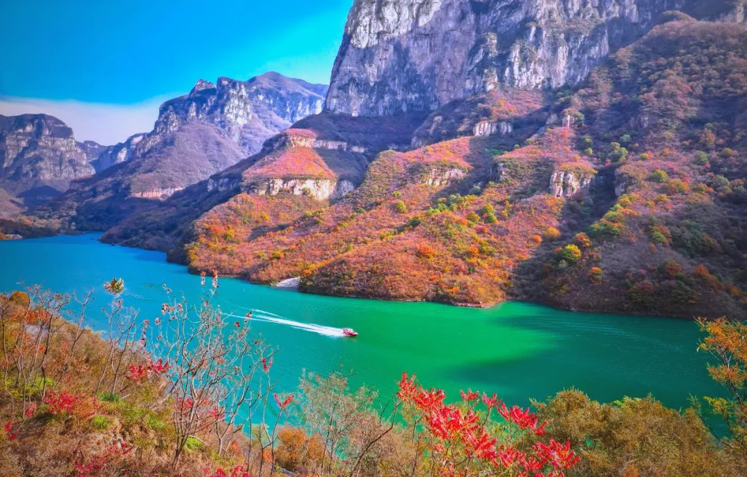 焦作旅游网-焦作旅游风景区