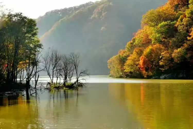 济南红叶谷门票多少钱-济南红叶谷风景区门票多少钱