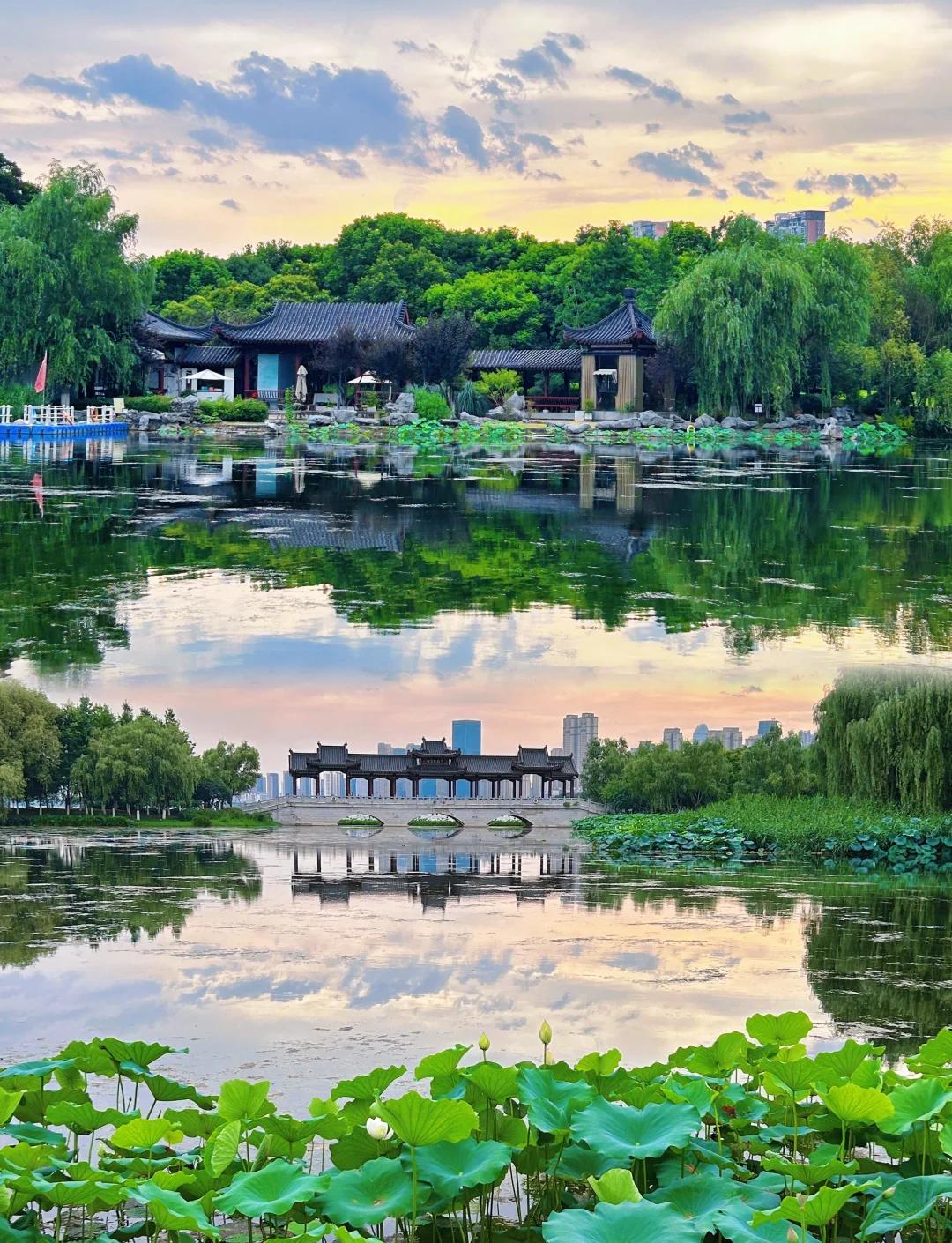 沙湖旅游-沙湖旅游景点图片