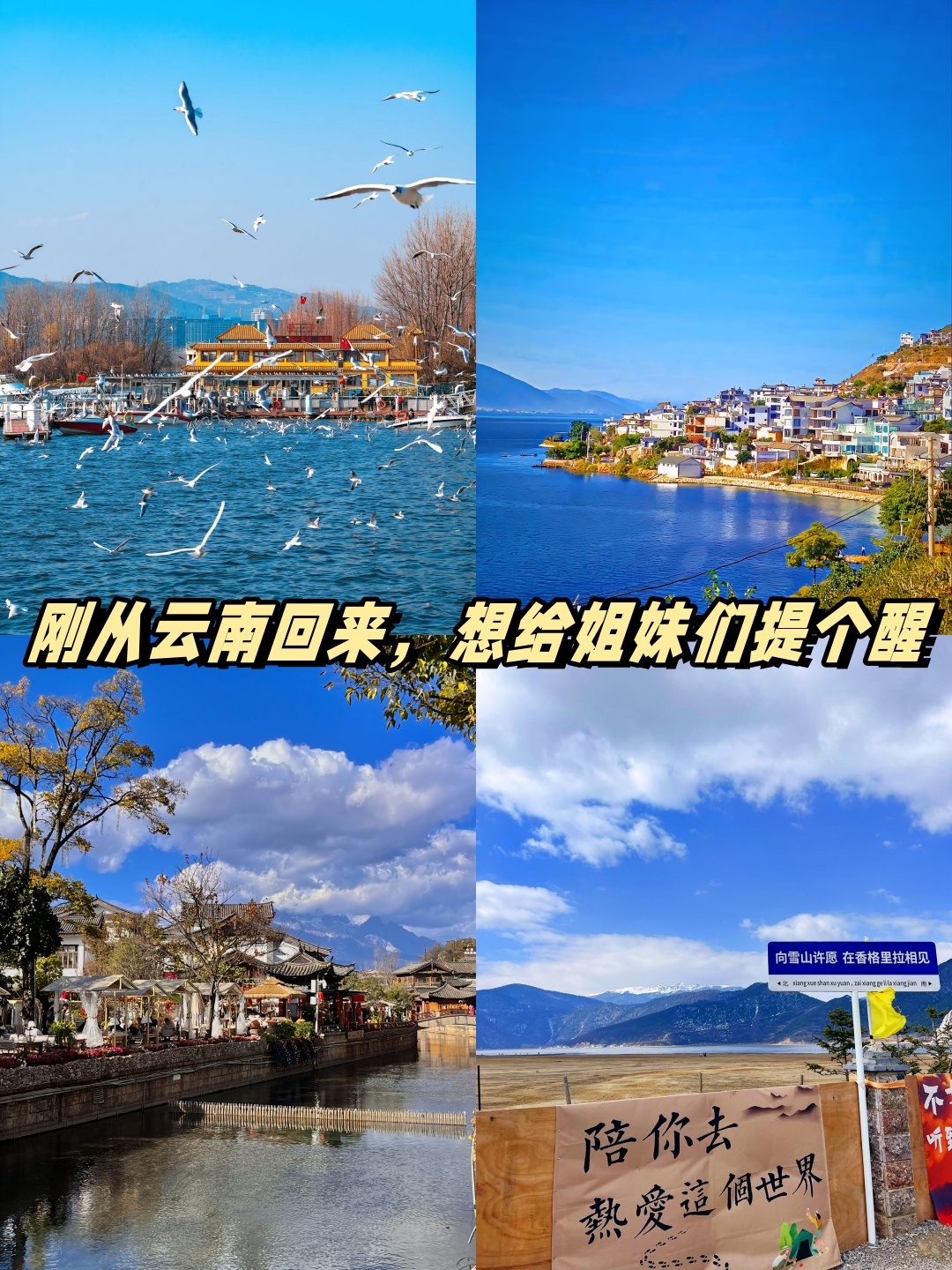 大连到云南旅游-大连到云南旅游线路