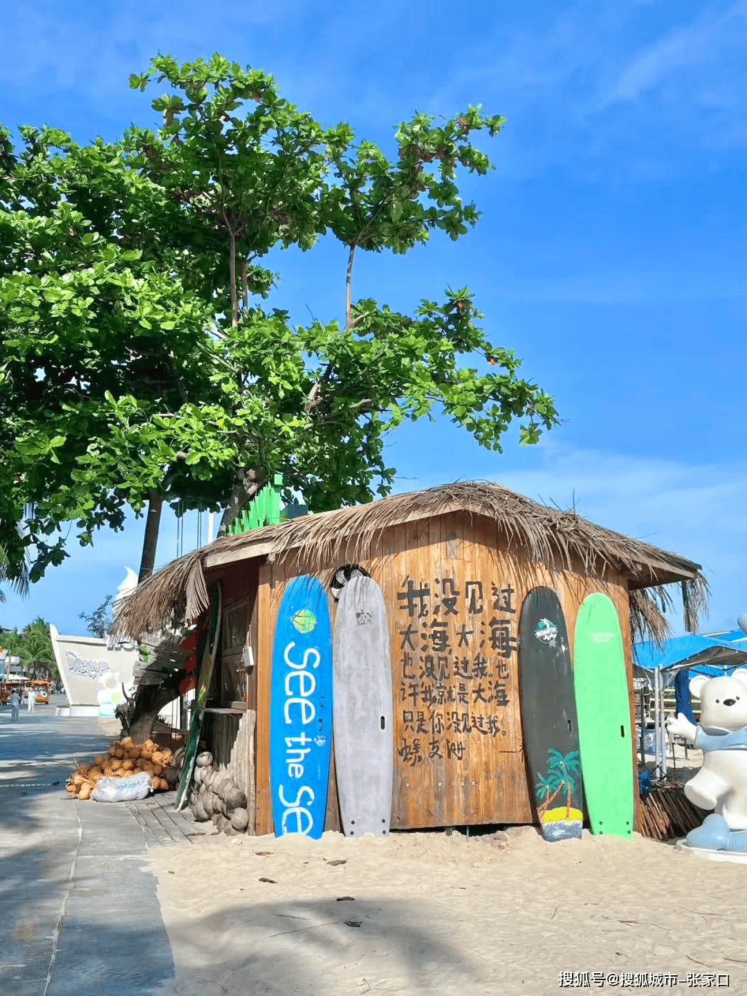 春节海南旅游-春节海南旅游攻略