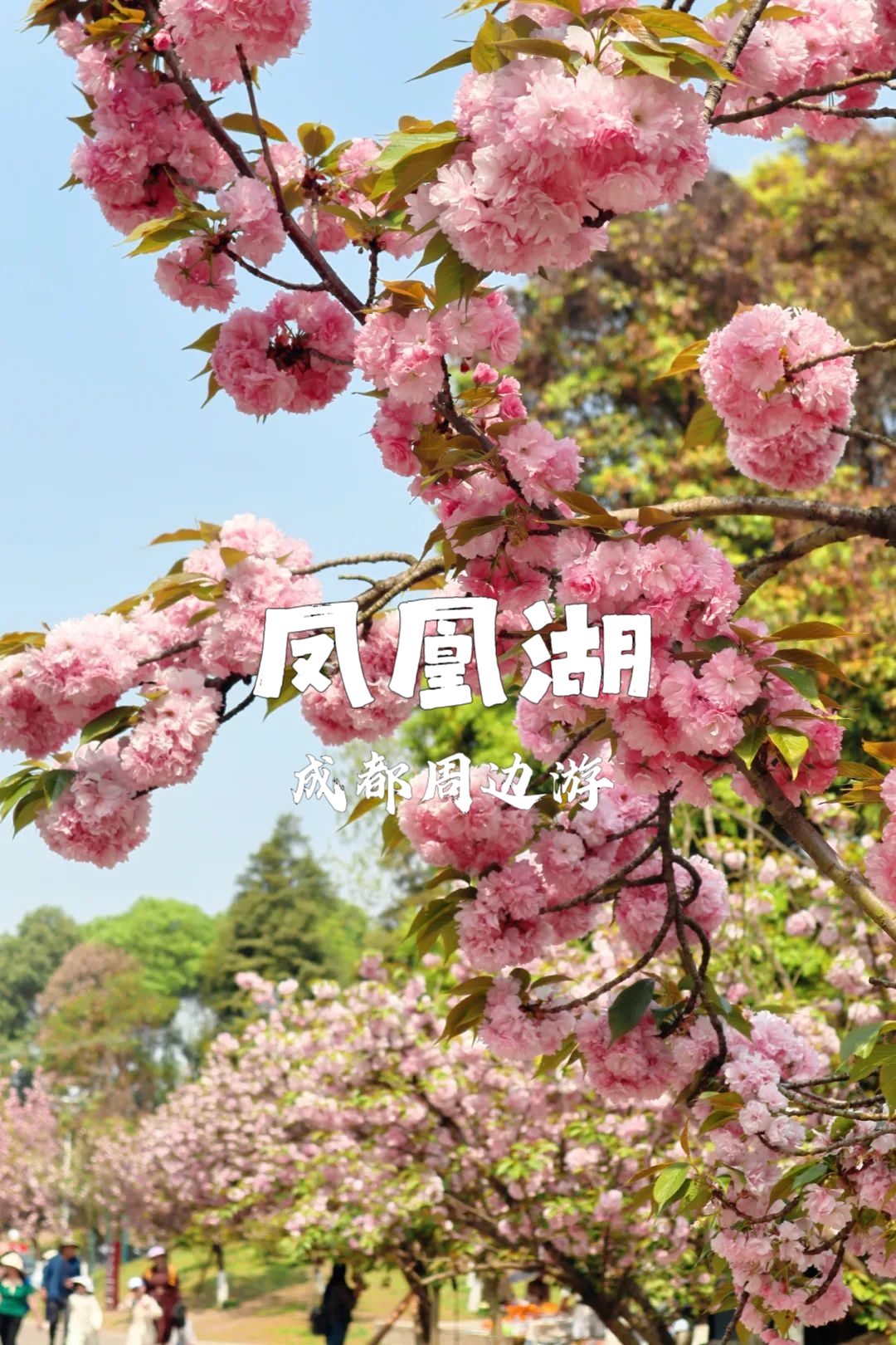清明节旅游攻略-清明节旅游最佳去处 清明节旅游攻略-清明节旅游最佳去处