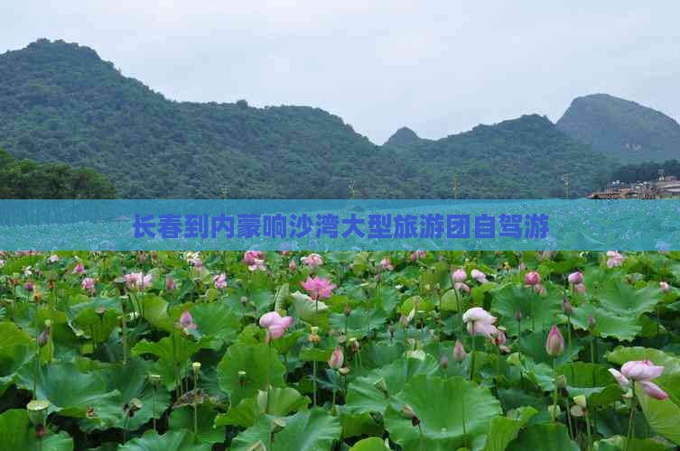 长春旅游团-长春旅游团联系方式