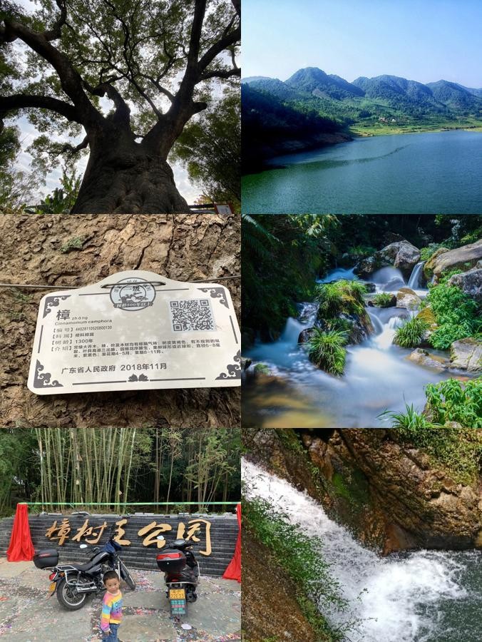 韶关旅游网-韶关旅游资讯网