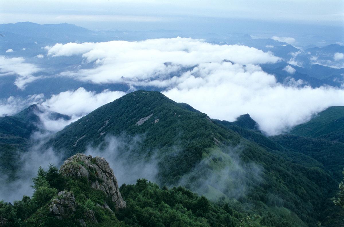 雾灵山门票-雾灵山门票退役军人免票吗 雾灵山门票-雾灵山门票退役军人免票吗