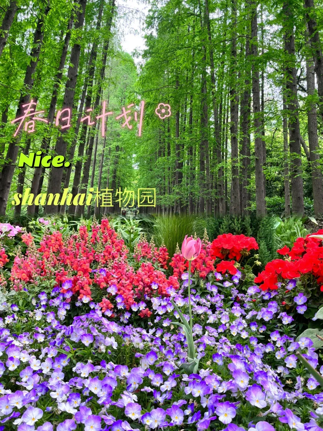 上海植物园门票-上海植物园门票价格开放时间一览 上海植物园门票-上海植物园门票价格开放时间一览