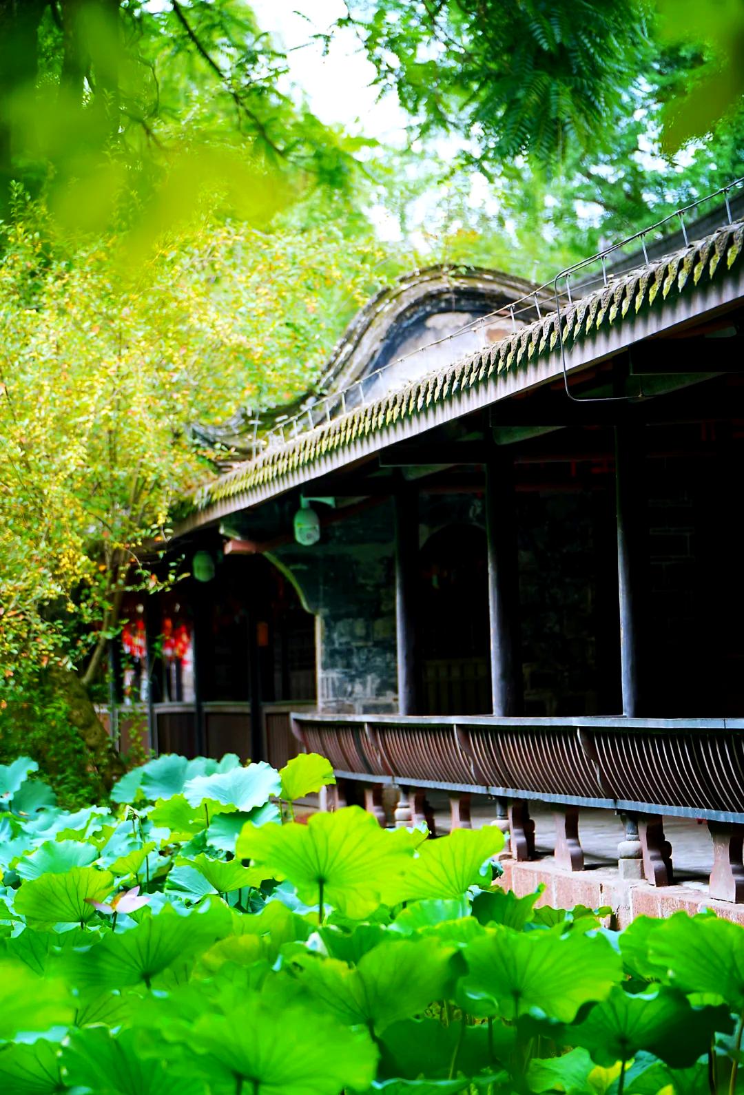 眉山旅游-杭州旅游峨眉山旅游