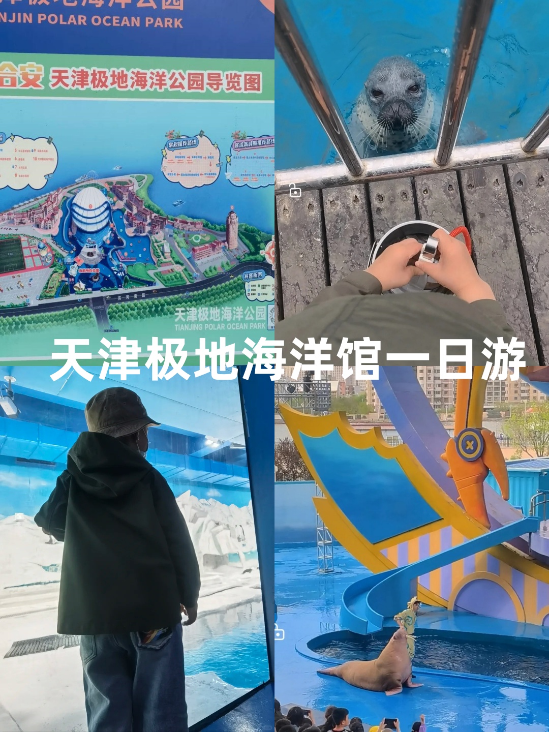 海洋馆门票团购-海洋馆门票优惠政策 海洋馆门票团购-海洋馆门票优惠政策
