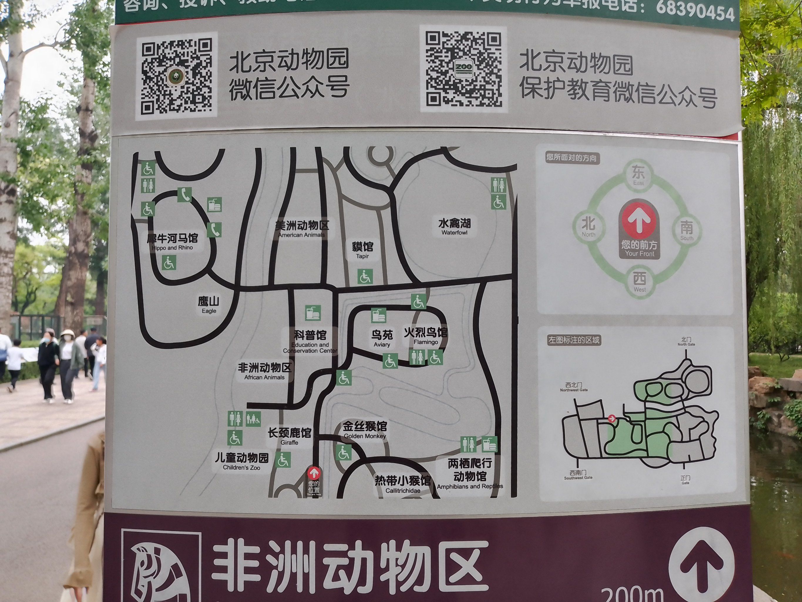 北京动物园门票-北京动物园门票多少钱一个人 北京动物园门票-北京动物园门票多少钱一个人