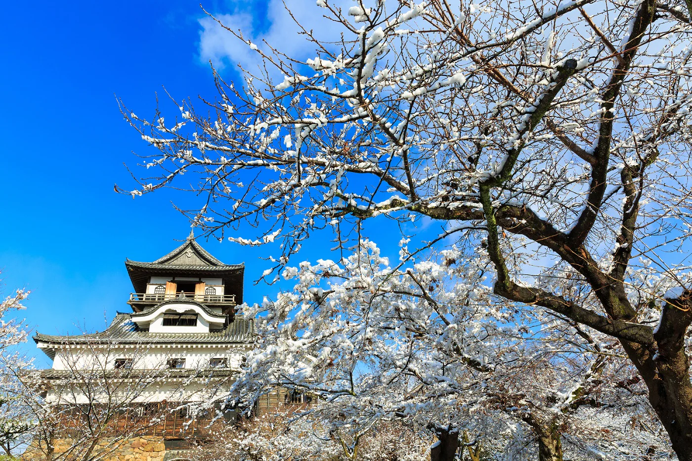 名古屋旅游-名古屋旅游攻略自由行