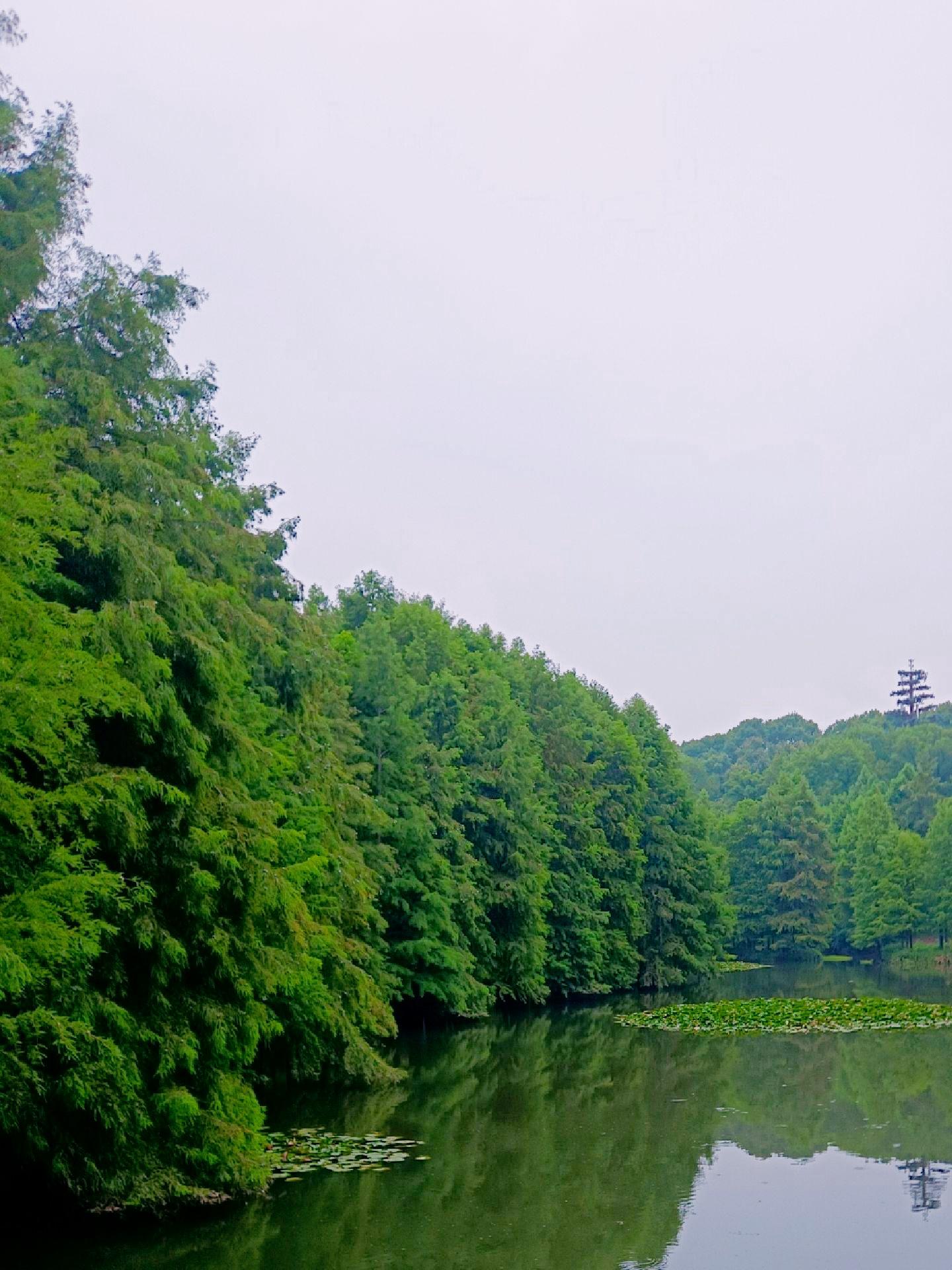 南京梅花山门票-南京梅花山门票收费标准