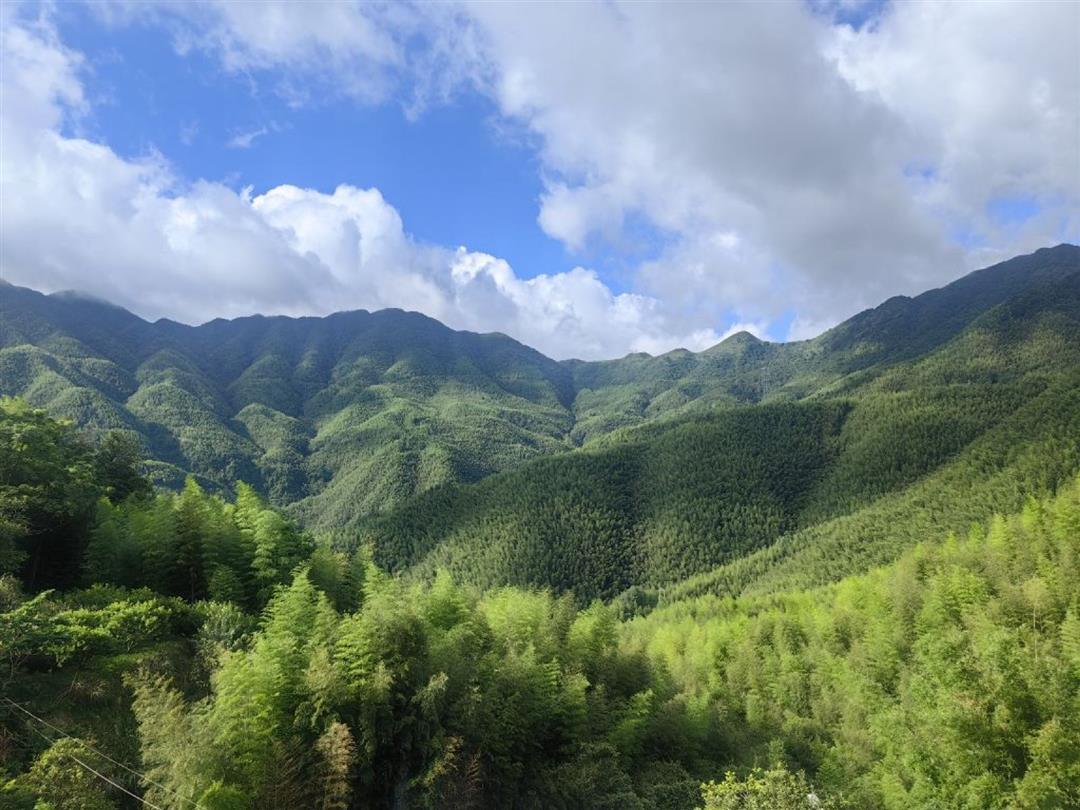 竹海旅游-竹海旅游攻略 竹海旅游-竹海旅游攻略