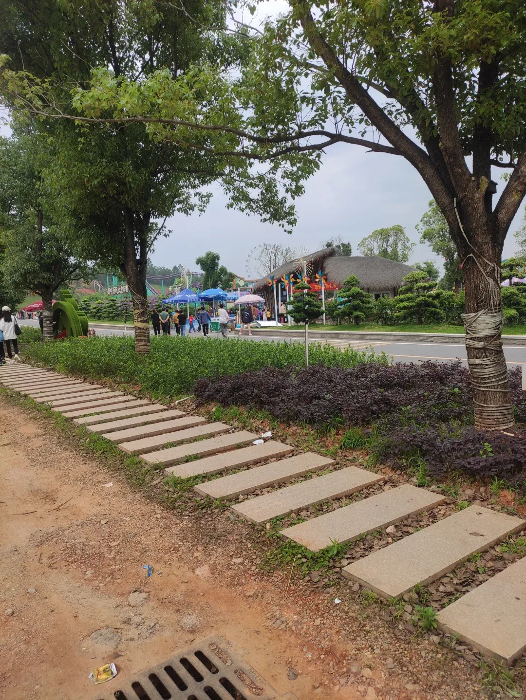 大丰旅游-大丰旅游景点