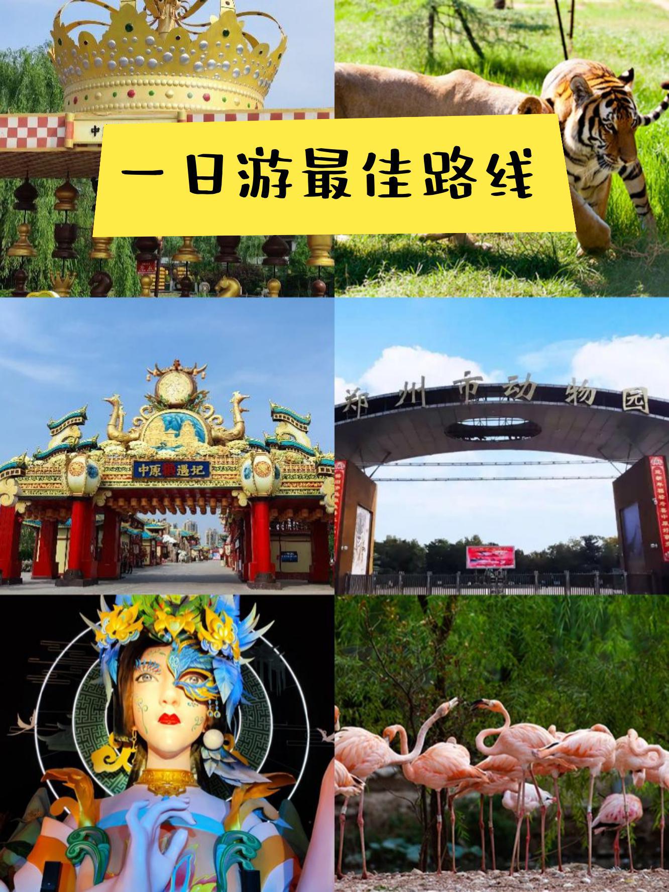 郑州旅游网-郑州旅游信息 郑州旅游网-郑州旅游信息