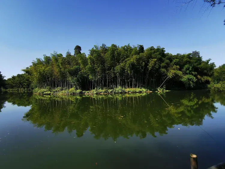 蜀之旅旅游网-蜀游天下国际旅行社怎么样 蜀之旅旅游网-蜀游天下国际旅行社怎么样