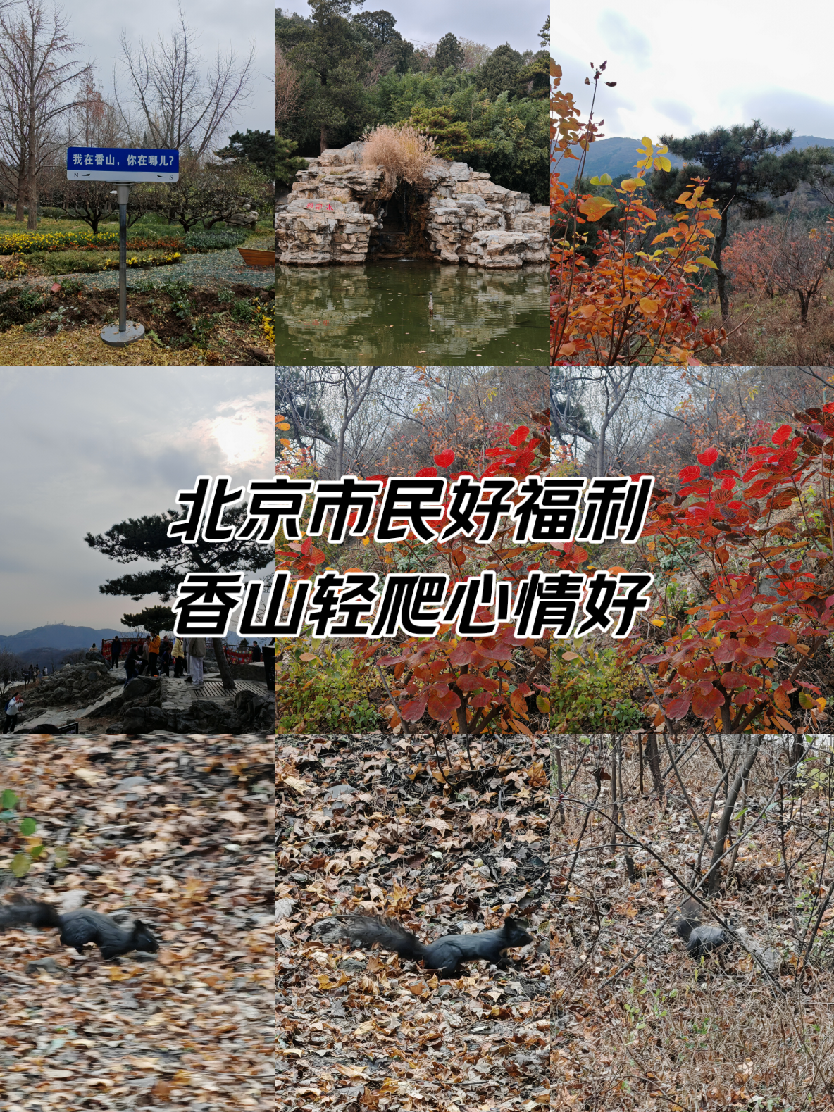 北京香山门票价格-北京香山门票价格和优惠政策