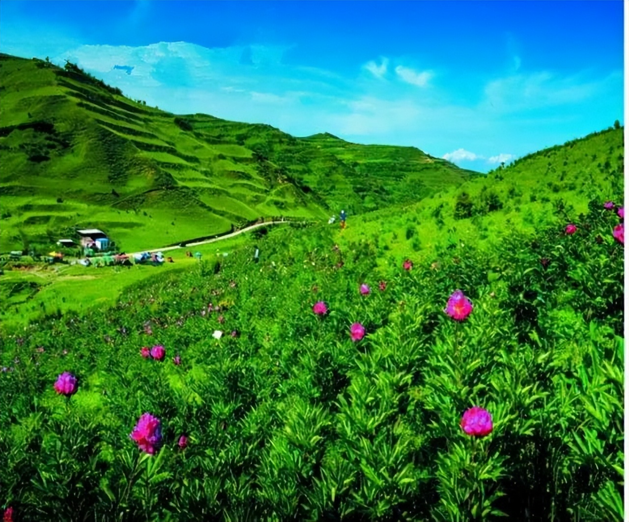 临夏旅游-临夏旅游景点介绍八坊十三巷简介 临夏旅游-临夏旅游景点介绍八坊十三巷简介