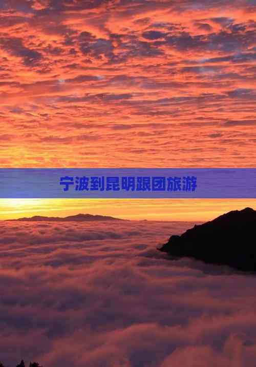 宁波旅游团-宁波旅游团滞留迪拜 宁波旅游团-宁波旅游团滞留迪拜