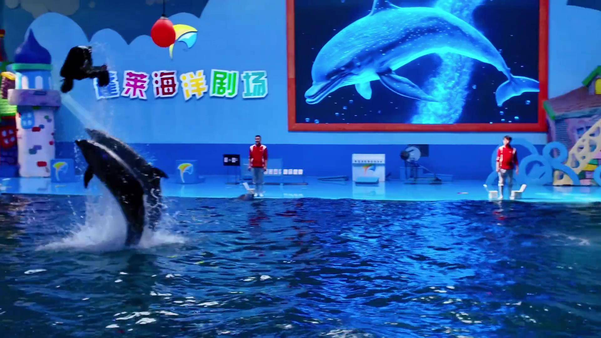泉城海洋极地世界门票-泉城海洋极地世界门票多少钱一张齐河本地人 泉城海洋极地世界门票-泉城海洋极地世界门票多少钱一张齐河本地人