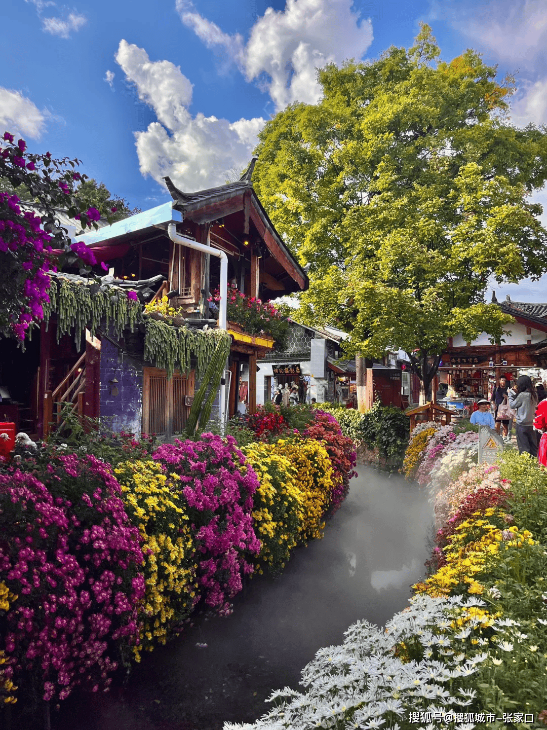 云南丽江旅游-云南丽江旅游团报价6日游 云南丽江旅游-云南丽江旅游团报价6日游