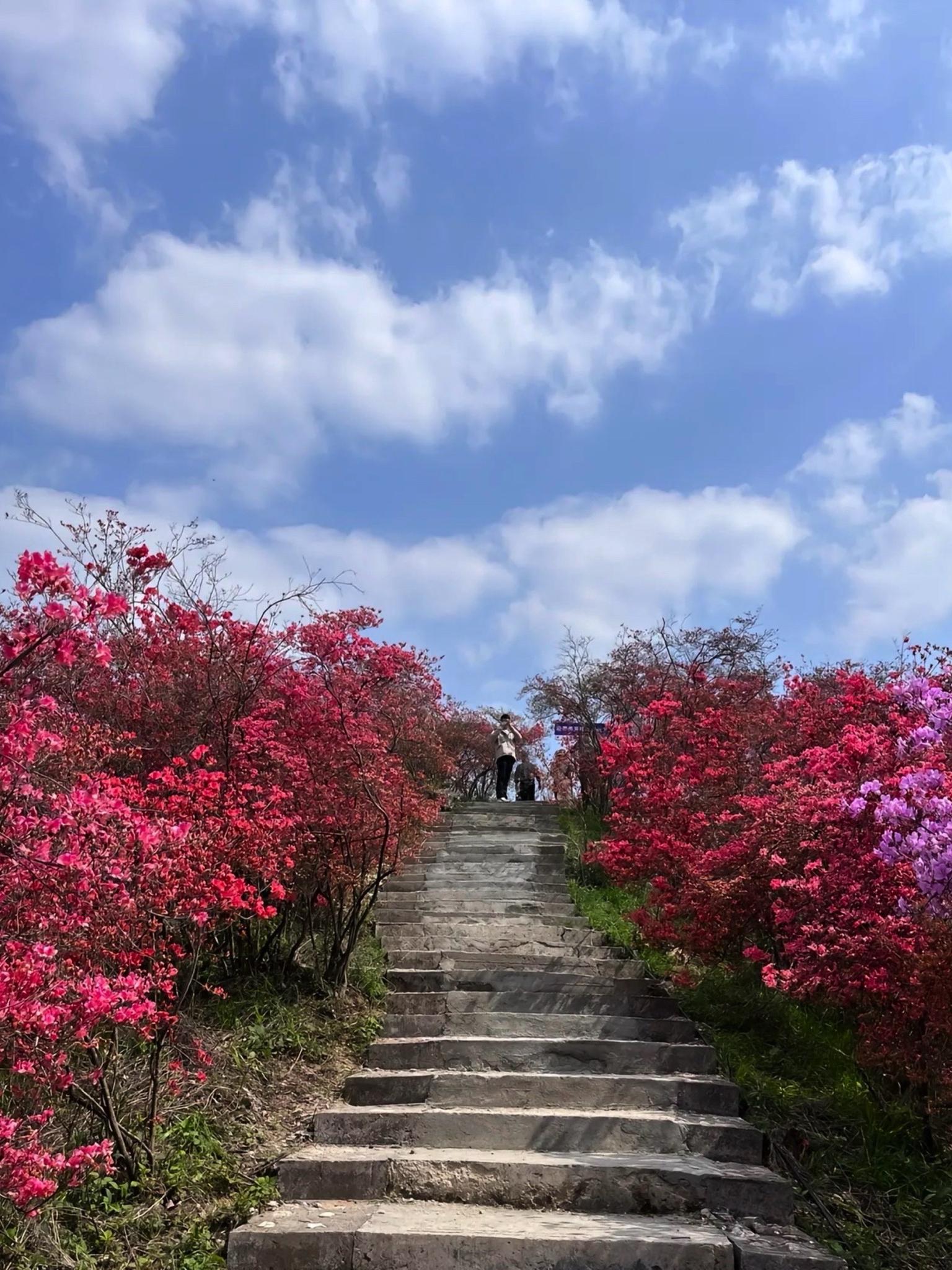 安庆旅游网-安庆旅游攻略自助游
