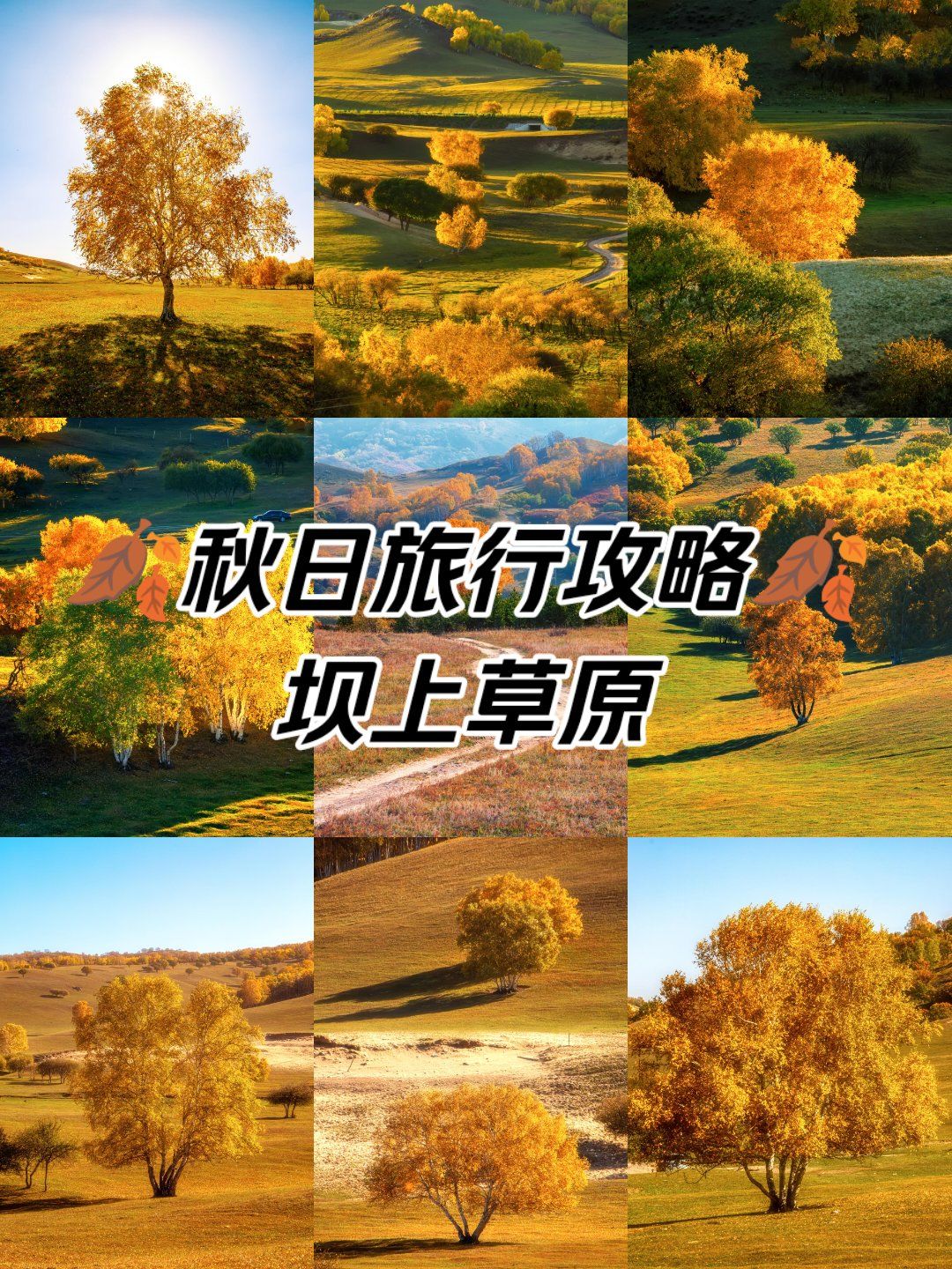 丰宁坝上草原旅游攻略-丰宁坝上草原自驾游攻略 丰宁坝上草原旅游攻略-丰宁坝上草原自驾游攻略