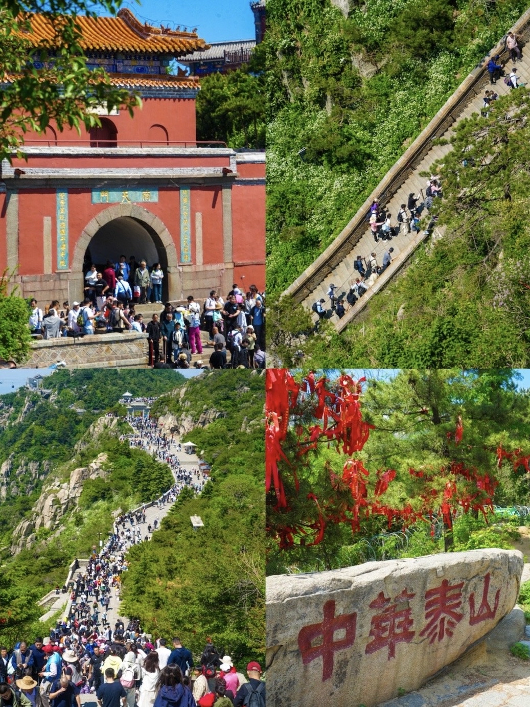 泰山门票-泰山门票网上预订官网入口 泰山门票-泰山门票网上预订官网入口