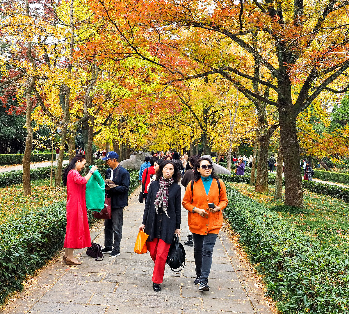 十月一旅游-十月一旅游景点排行榜