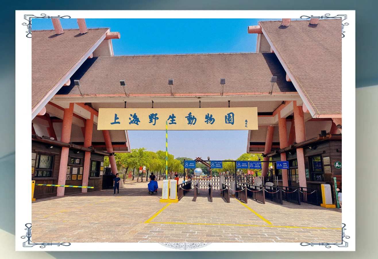 上海野生动物园旅游攻略-上海野生动物园旅游攻略图 上海野生动物园旅游攻略-上海野生动物园旅游攻略图