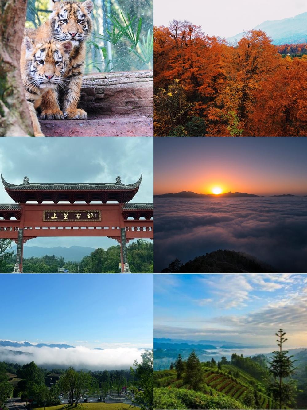 雅安旅游景点大全-雅安周边游景点推荐 雅安旅游景点大全-雅安周边游景点推荐