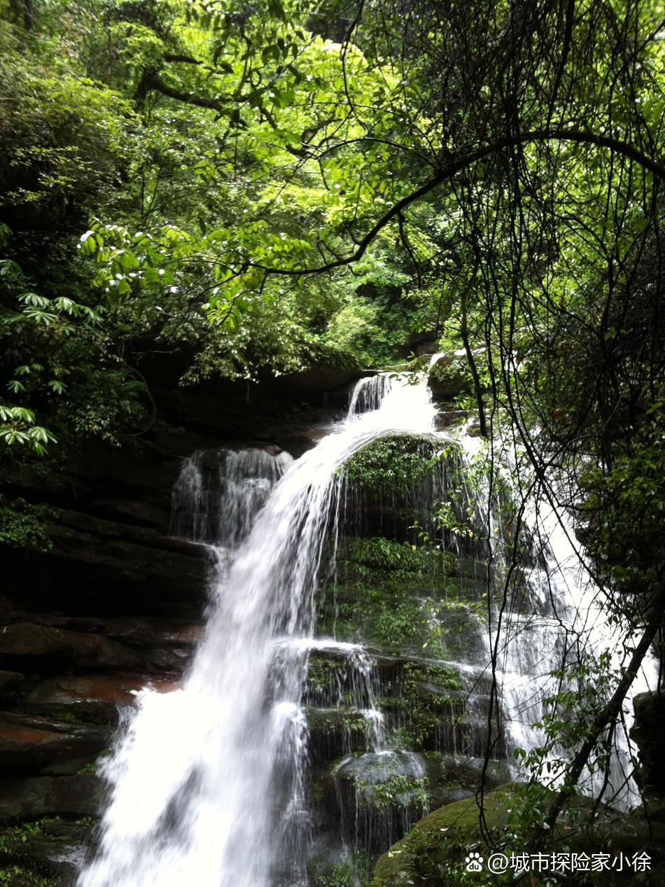 雅安旅游景点大全-雅安周边游景点推荐 雅安旅游景点大全-雅安周边游景点推荐