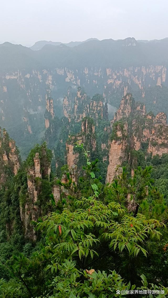 张家界自助旅游-张家界自助旅游住宿