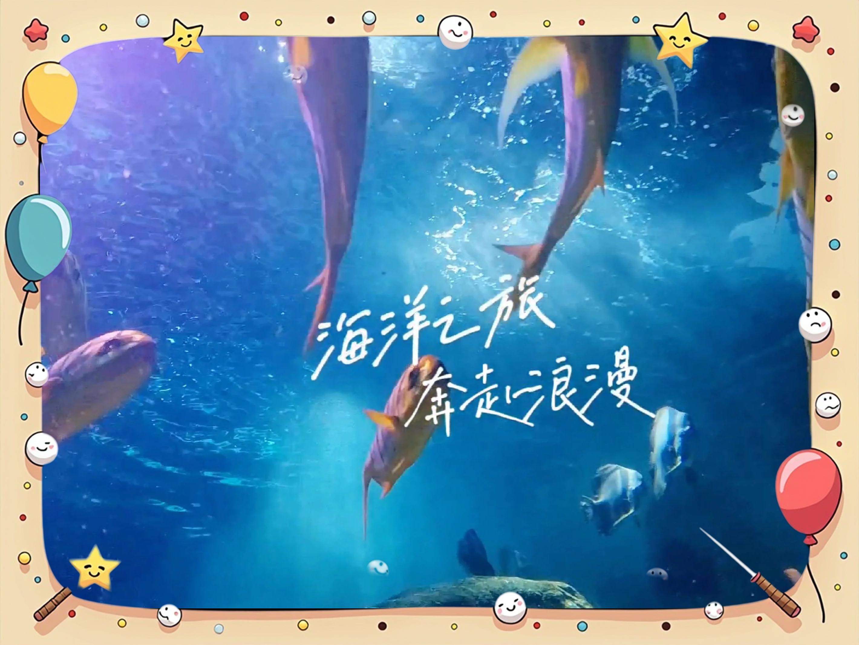 大连圣亚海洋世界门票-大连圣亚海洋世界门票在哪里买便宜 大连圣亚海洋世界门票-大连圣亚海洋世界门票在哪里买便宜
