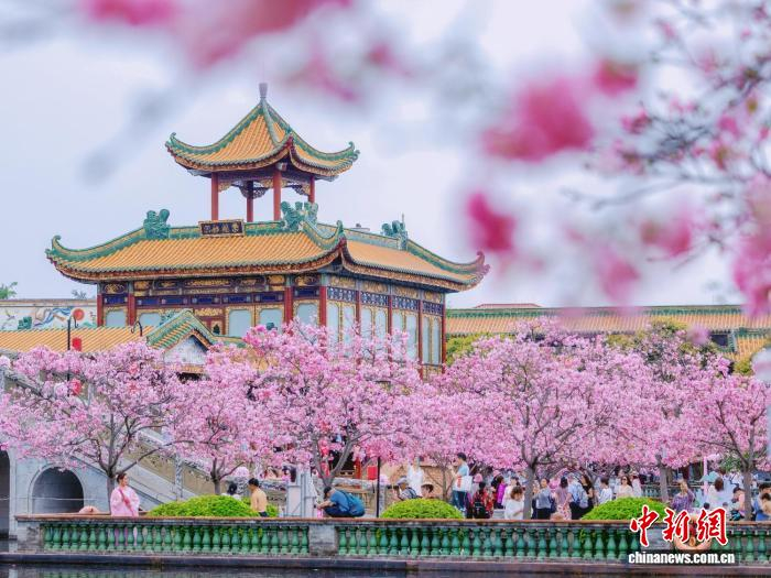 宝墨园旅游攻略-宝墨园一天游玩攻略 宝墨园旅游攻略-宝墨园一天游玩攻略