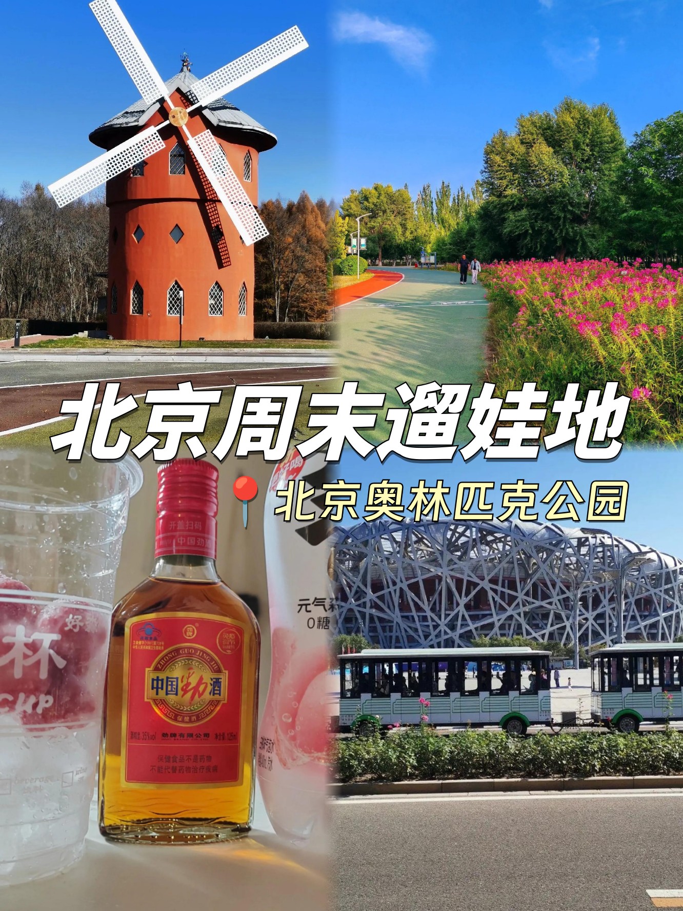 水立方门票-水立方门票价格多少